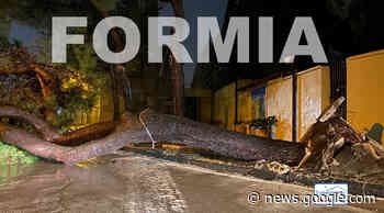 Formia, tragedia sfiorata: un pino si abbatte in strada fuori al cimitero ... - Tutto Golfo