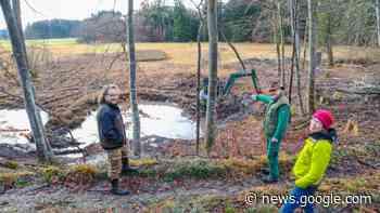 Herrsching: Neues Laichgewässer für Amphibien - Starnberg - SZ.de - Süddeutsche Zeitung - SZ.de