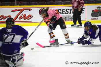 Could international-level women's hockey be coming to Barrie? - BarrieToday