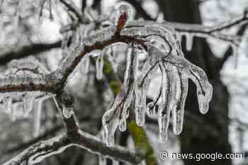 More freezing rain expected Thursday afternoon in Barrie area - BarrieToday