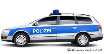 Renningen: Autofahrer überfährt Hund auf Feldweg - BB Heute