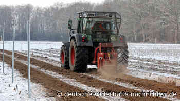 Europas Öl-Sanktionen gegen Russland sind riskantes Neuland