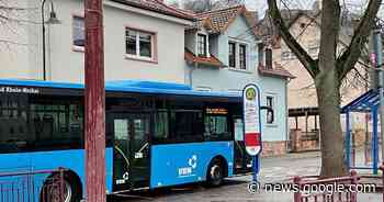 Wenn der Welpe plötzlich einen Maulkorb braucht - Landstuhl - Rheinpfalz.de
