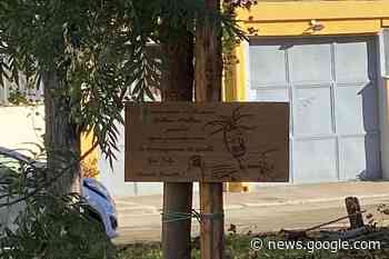 Zio Felp, il ricordo di Ninni Gemmato - TerlizziViva