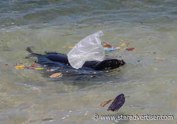 ‘One Health’ stresses link between humans, environment