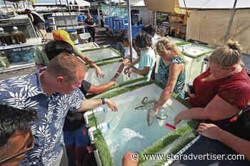 Octopus farm is ordered to halt illegal activity