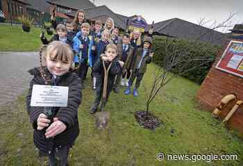 Tidbury Green School plant tree in memory of Queen Elizabeth - Solihull Observer