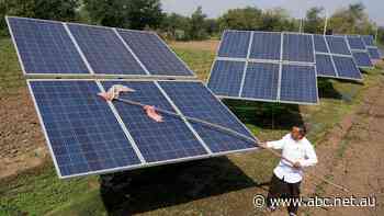 Clean energy finally gains a foothold in India, but coal still rules the roost