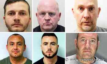 Shock as 16 Met Police officers convicted since murder of Sarah Everard