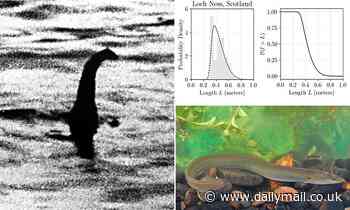 Loch Ness Monster is NOT just a giant eel, mathematician claims 