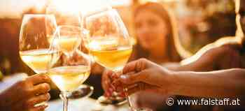 Trophy: Burgunder aus dem Burgenland