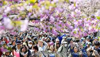 Japan kündigt Maßnahmen gegen Bevölkerungsrückgang an