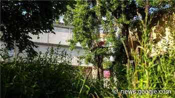 Latscho Koblenz e.V. ruft zur Rettung des Garten Herlets auf. - Blick aktuell