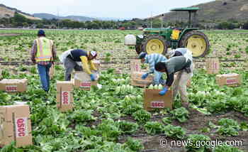 Piano nazionale per la lotta al lavoro sommerso: modifiche in arrivo ... - Ipsoa