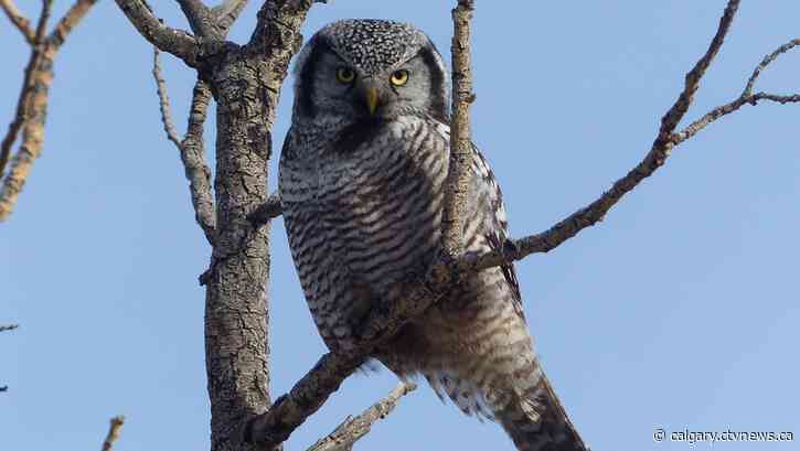 Warm and sunny ahead of the Polar Vortex