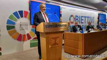 Rocca per la svolta green: “Piano per fotovoltaico ed eolico” 