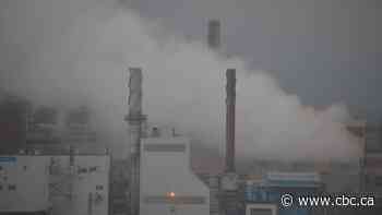 Northern Ontario firm says province's carbon pricing needs more 'carrot' and less 'stick'