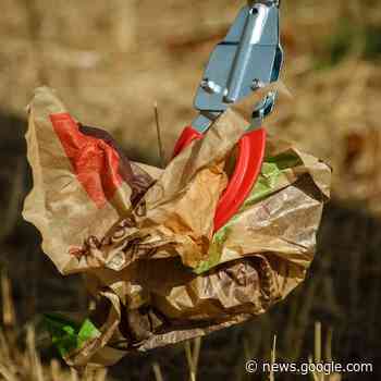 NOTTULN: Müllbeutel an Bäumen - RADIO KIEPENKERL - Radio Kiepenkerl