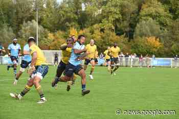 Le C'Chartres Rugby s'impose dans la douleur à Saint-Denis - Echo Républicain