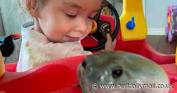 'My toddler is best friends with a frog'