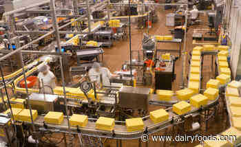 Everything to know about X-ray and metal detection systems