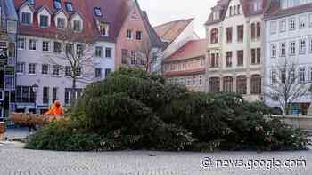 Abschied vom Jenaer Weihnachtsbaum | Jena | Ostthüringer Zeitung - Ostthüringer Zeitung