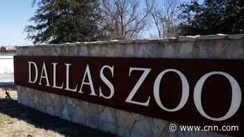 Police investigate vulture's death at Dallas Zoo