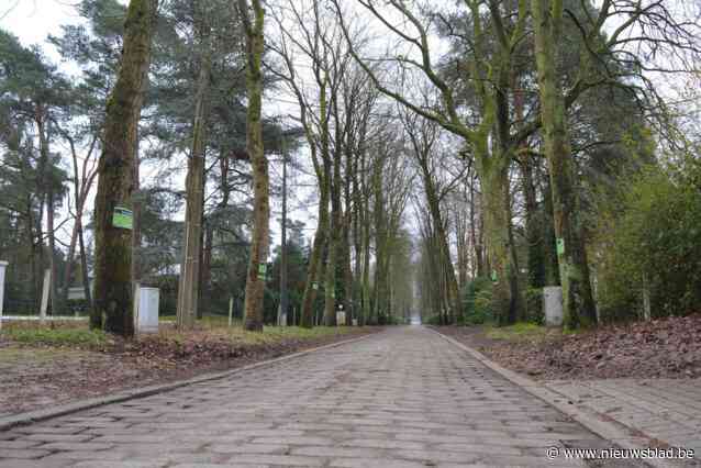 Actiecomité tevreden nu vergunning Mostheuvellaan onwettig verklaard is, gemeente spreekt over ‘gijzeling’ buurt door procedureslag