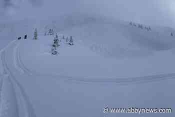 1 snowmobiler dead in avalanche near Valemount, B.C.