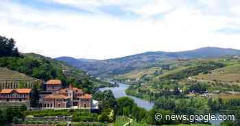 Atmen und atmen lassen: das Six Senses Douro Valley in Portugal - reisen EXCLUSIV