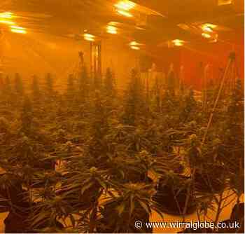 Drugs and weapons seized as crackdown on organised crime continues