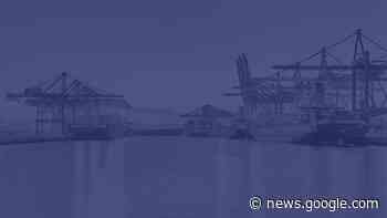 Hamburg Towers verlieren auch gegen Braunschweig - NDR.de