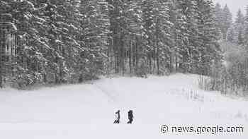 Neuschnee in Bayern: Lawinen-Warnstufe 3 in den Alpen | Regional - BILD