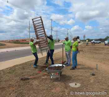 Prefeitura de Juazeiro realiza mais uma etapa do Projeto 'Juá ... - Prefeitura de Juazeiro