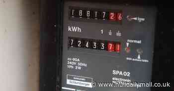 Households could be paid to slash electricity use for second day in a row