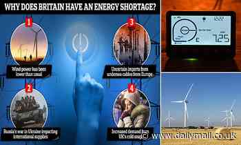Britain's energy shortage explained