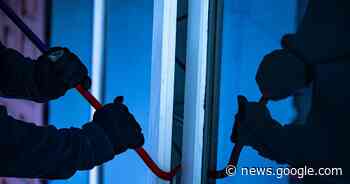 Inbreker op heterdaad betrapt door bewoners in Ossendrecht - Het Laatste Nieuws