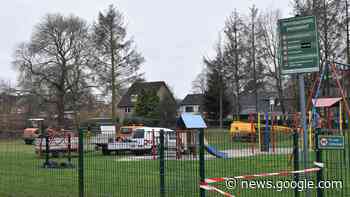 Bäume an Schulstraße Stadt Papenburg fällt 14 Fichten auf ... - NOZ