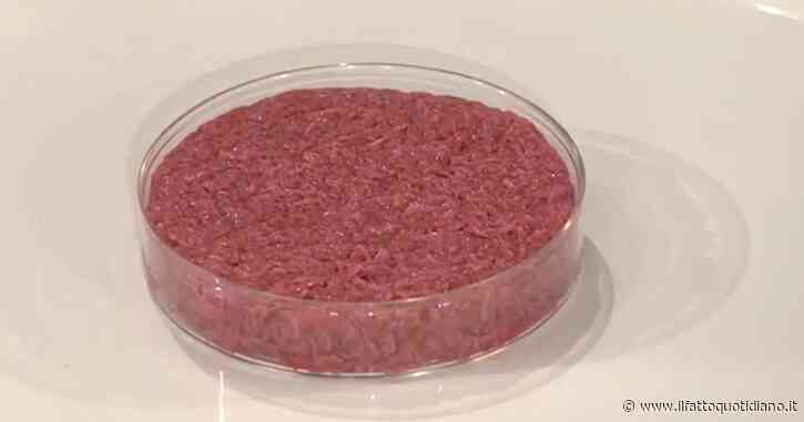 Perché la carne sintetica è così dibattuta? Bisogna rivoluzionare il sistema alimentare
