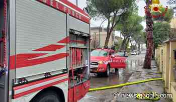 FORLI': Appartamento in fiamme, salvati tre gattini | FOTO - Teleromagna24