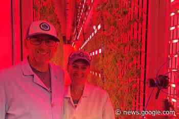 Fresh vegetables grow year-round at this innovative Timmins farm - SooToday