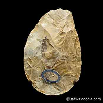 Gadgets uit het Stenen Tijdperk - Apparata.nl