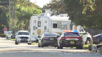 Murder Charge for Miami Man Shot by Officer After Stabbing, Running Over Woman: Police