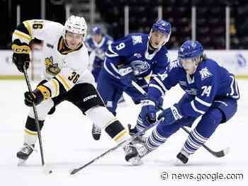 Local hockey: Blades edge Sharks; Veccia stars again - The Chatham Daily News