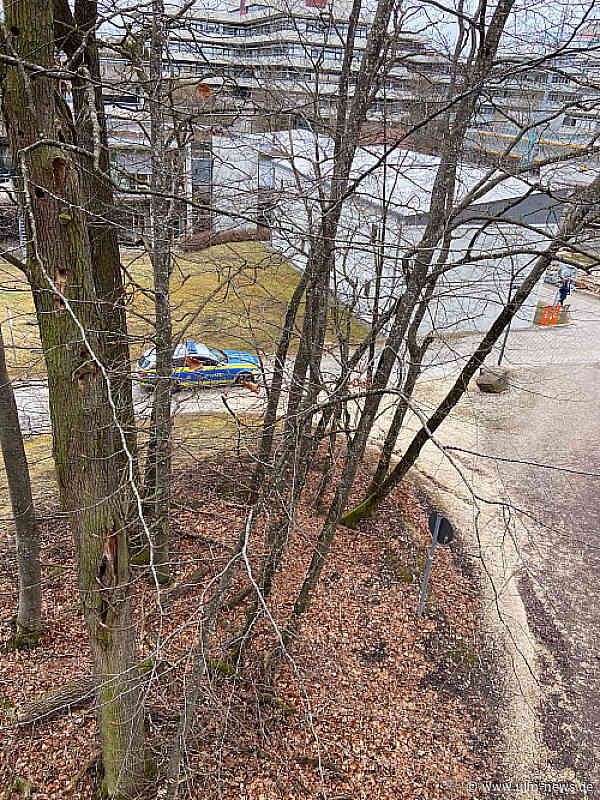 Bau des Betten- und Forschungshauses: Uniklinik Ulm plant Ausgleichsmaßnahmen für gefällte Bäume