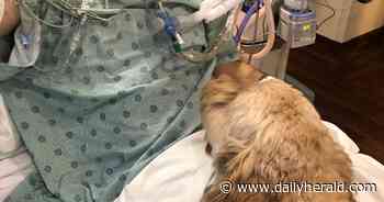 Itasca firefighter dies at 34 after long battle with cancer