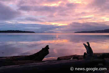 Community leaders make new year's resolutions for Ladysmith ... - Nanaimo Bulletin