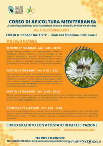Pantelleria, dal 17 al 19 febbraio corso gratuito di apicultura ... - Il Giornale Di Pantelleria