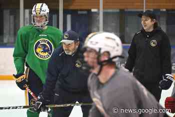 Computer glitch costs Delta BC junior hockey team four wins - Delta Optimist