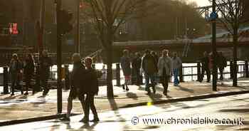 North East set for mild couple of days as temperatures forecast to hit double figures